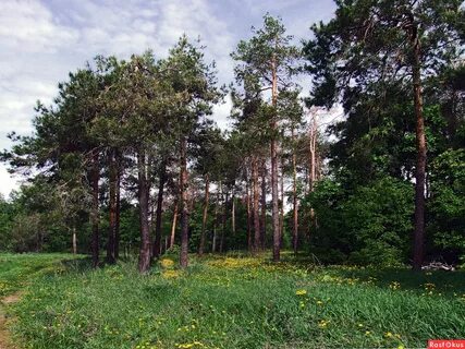 Погода поляны ленинградская область на неделю