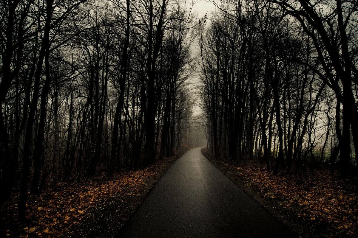 Темно насколько. Темная дорога. Мрачная осень. Мрачный осенний лес. Мрачная дорога.