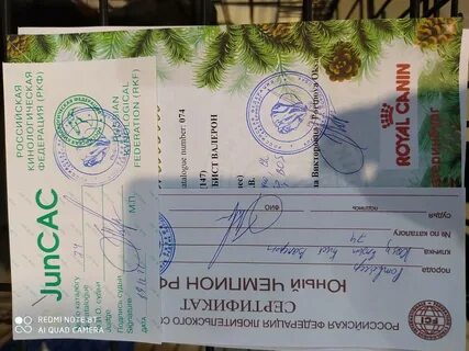 Декабрь регистрация