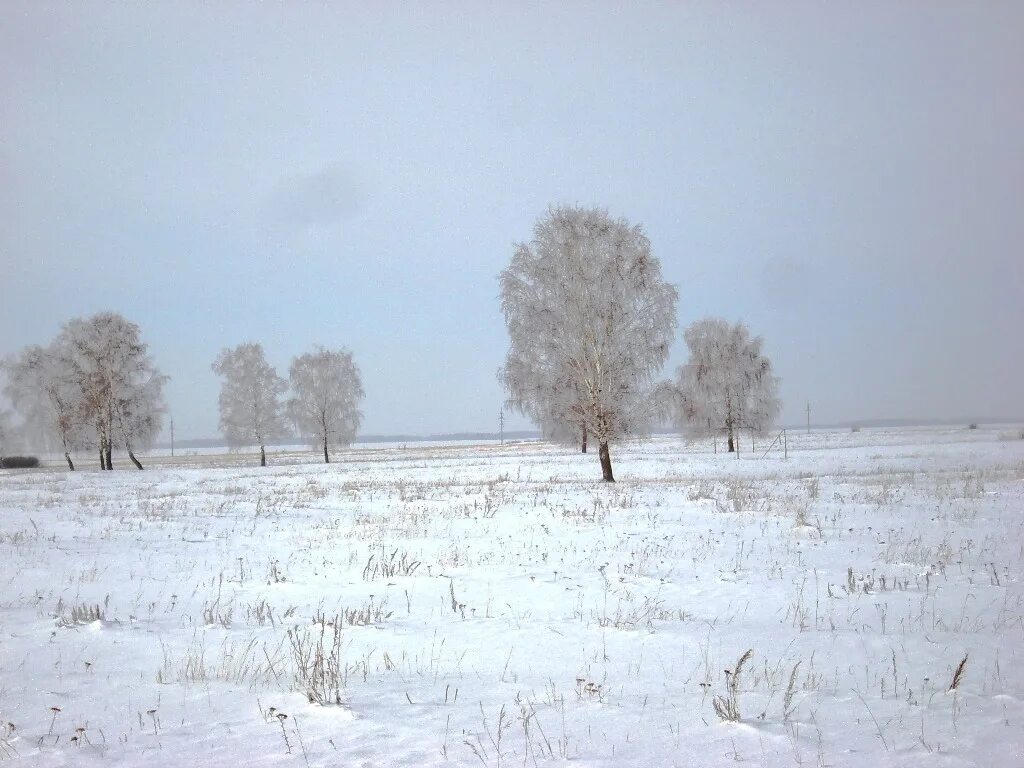 Идешь зимой по полю тишина. Поле зимой. Зимнее белое поле. Снег поле. Заснеженное поле.