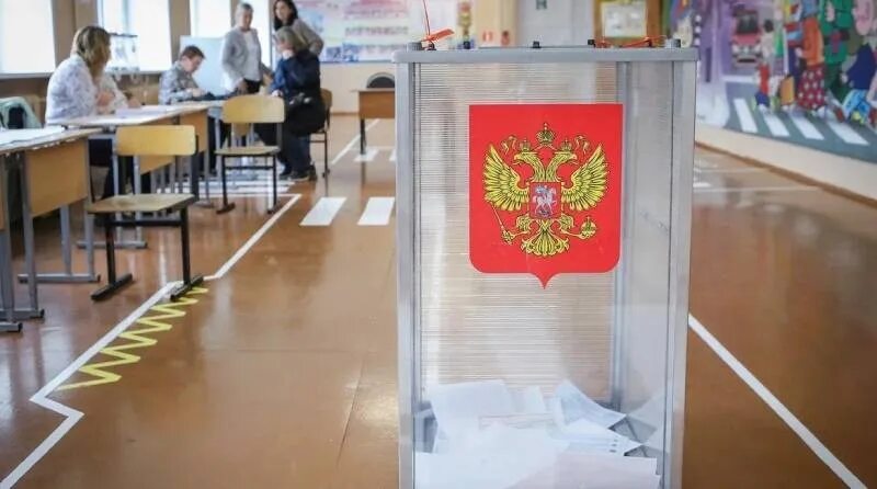Проголосовать 13