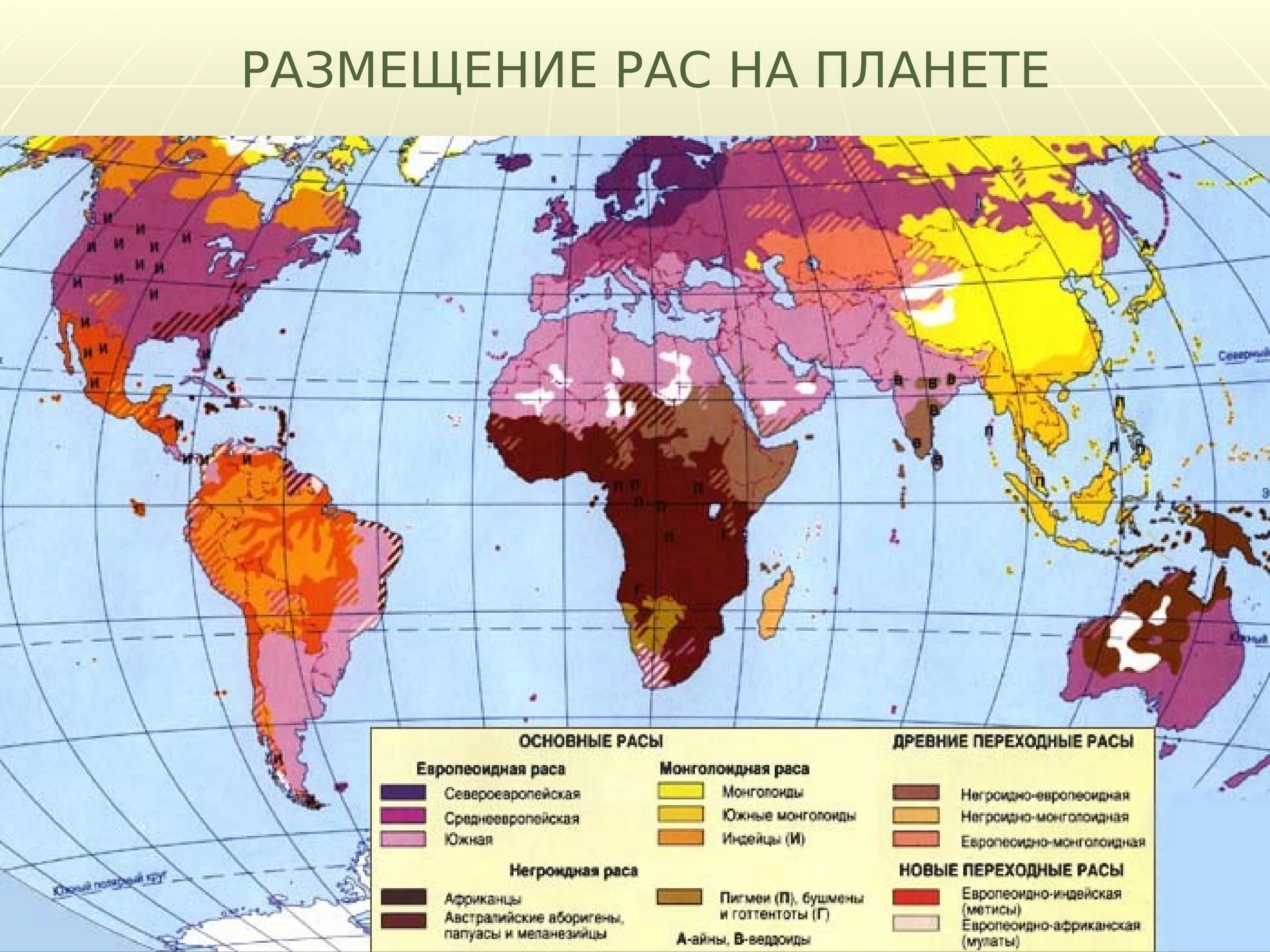 Карта человека планеты. Монголоидная раса карта расселения. Карта распространения рас на земле. Карта человеческих рас. Ареал распространения монголоидной расы.