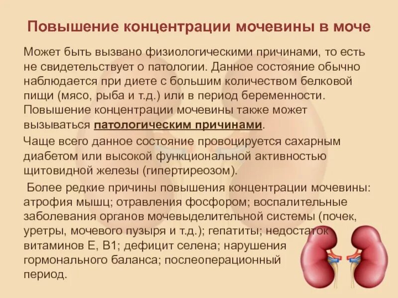 Повышенная мочевина в крови у мужчин лечение. Повышение концентрации мочевины. Креатинин и мочевина повышены причины. Диета при повышении мочевины в крови. Повышен уровень мочевины в крови.