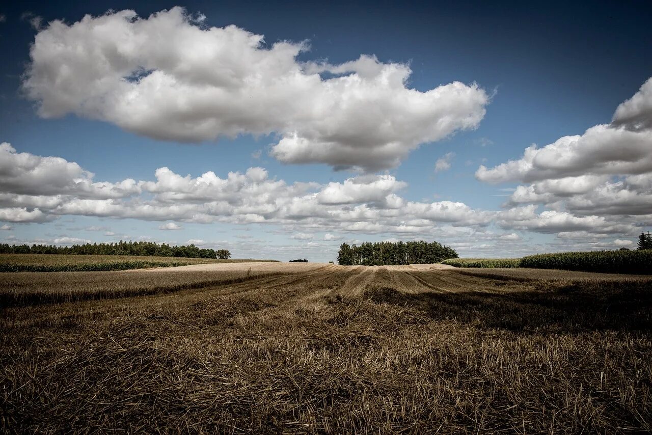 Cloud field
