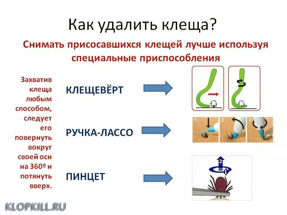 Удалить клеща в домашних условиях у человека. Методика удаления клеща алгоритм. Алгоритм удаления присосавшегося клеща. Методика извлечения клеща.