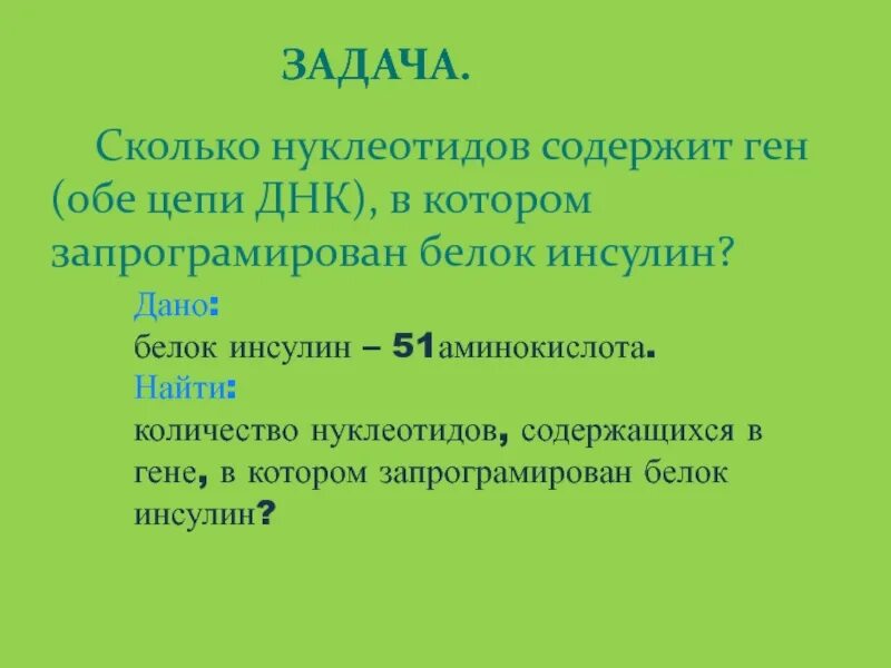 Сколько нуклеотидов содержат гены. Сколько нуклеотидов содержит ген. Сколько нуклеотидов в содержится гене. Инсулин 51 аминокислота белок. Сколько нуклеотидов содержит ген 51 аминокислоты.