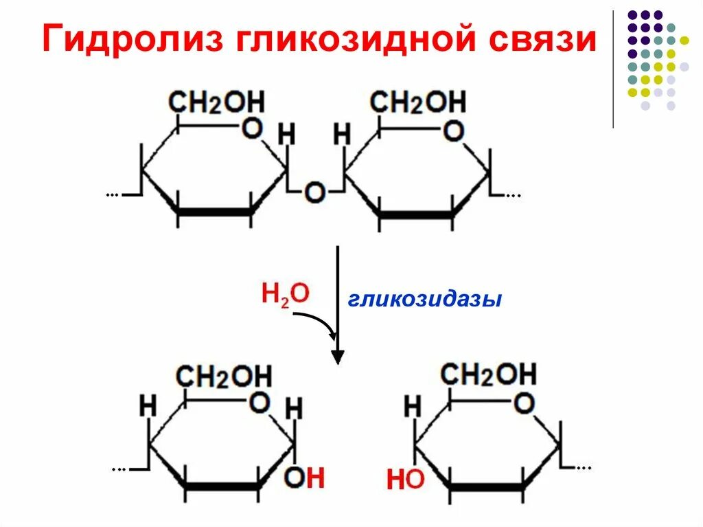 Связь 4 гликозидная. Альфа 1 4 гликозидная связь. Бета 1 4 гликозидная связь. Альфа бета 1,6 гликозидная связь. Целлюлоза Тип гликозидной связи.