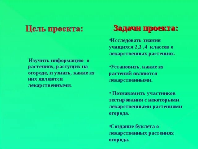 Цель проекта лекарственные растения в окрестностях г Лекарственные растения башкирии: найдено 85 картинок