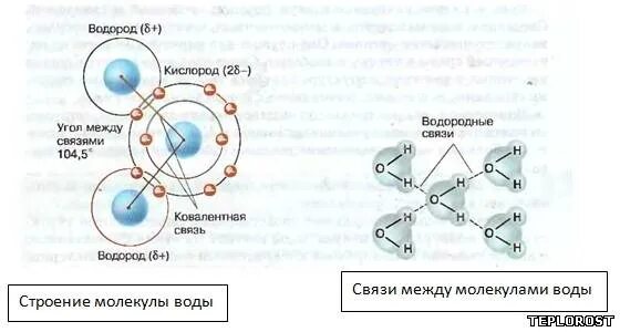 Вода биология 10. Схема структуры молекулы воды. Строение молекулы воды схема. Молекула воды схема. Схема строения молекулы.