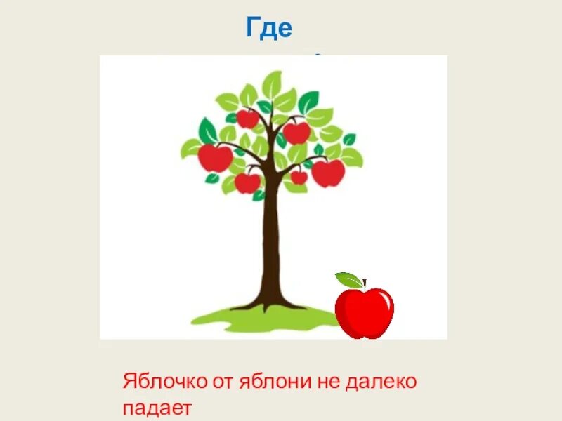 Человек запоминает каждую яблоню каждую стежку