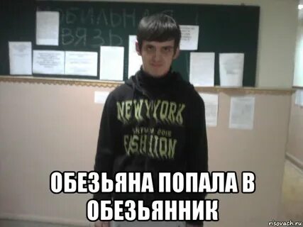 Обезьяна попала