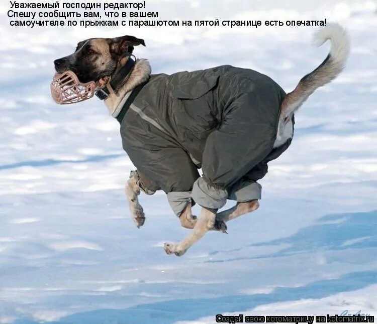 спешу сообщить. привет потеряшка. прикольные поздравления со смыслом. я спешу сказать вам здравствуйте. спешим сообщить.