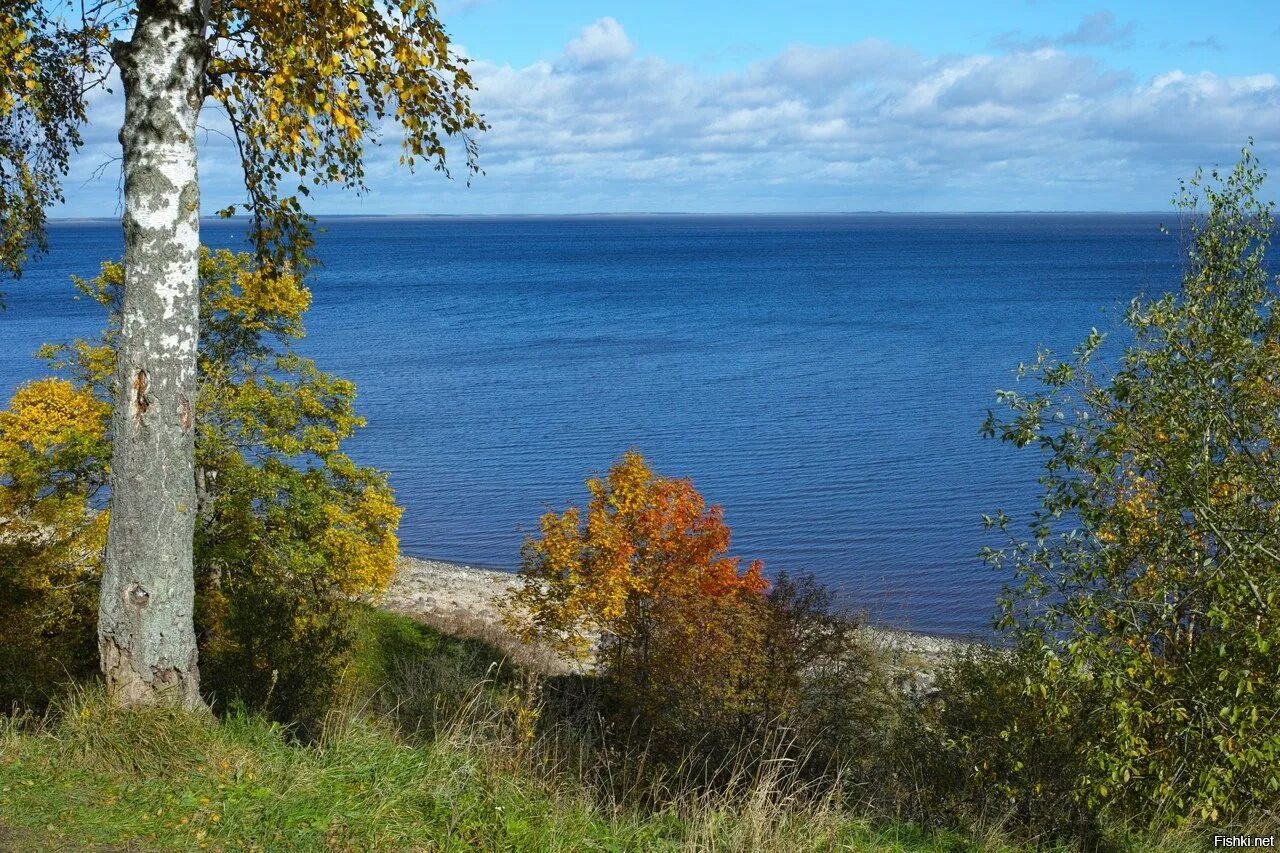 Великий Новгород оз Ильмень. Озеро Ильмень Новгородская. Озеро Ильмень в Великом Новгороде. Озеро Ильмень Коростынь. Название озера ильмень