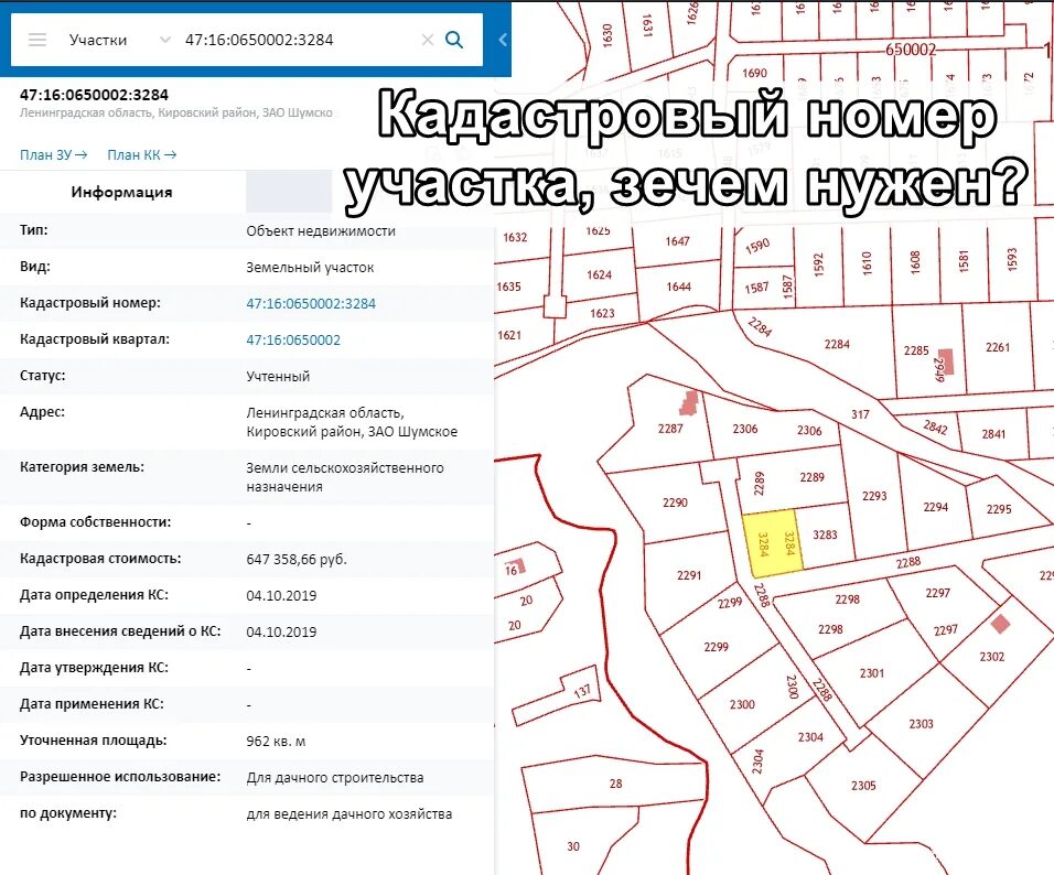 Как узнать номер участка по адресу проживания. Кадастровый номер участка. Кадастр номер. Кадастровый квартал. Кадастровая карта сведения об объектах недвижимости.