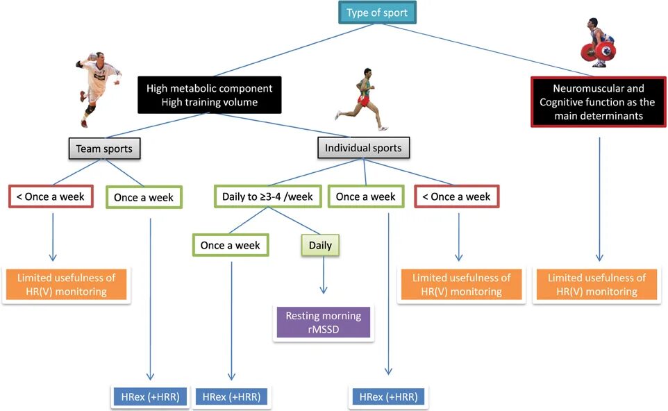 Individual Sports примеры. Team Sport advantages. Team Sport vs individual. Team and individual Sports.