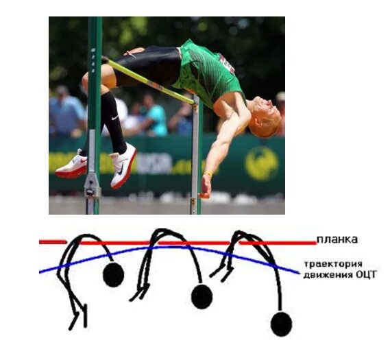 Оценка спортсмена 4. Биомеханика движения спортсмена. Биомеханика движений в спорте. Биомеханика прыжка. Траектория движения человека.