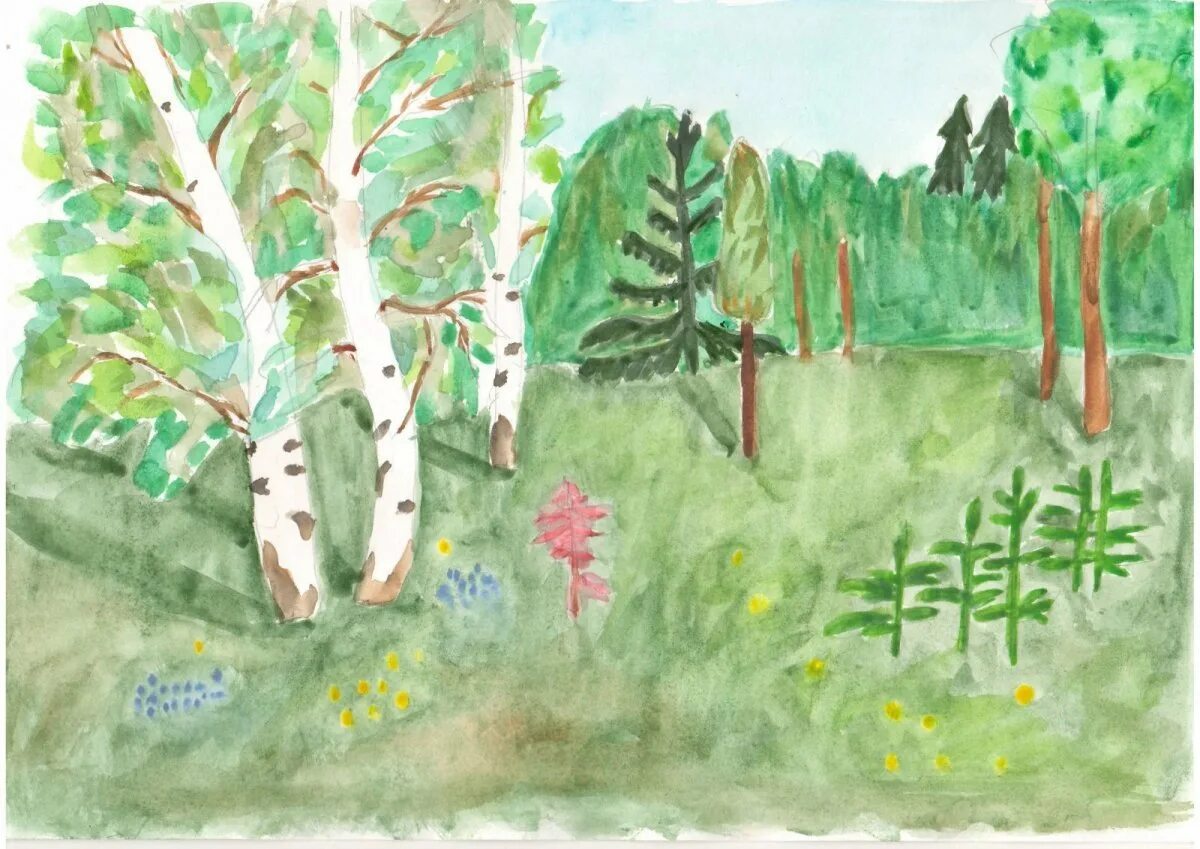 Рисование для детей лес. Лес глазами детей. Детский рисунок лес. Рисунок леса для детей.