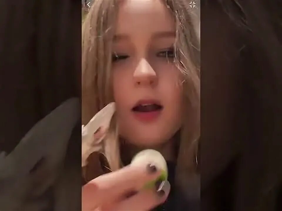 Видео маши лил пи. Маша лил пи буки. маша лил пи уэнсдей бук. маша lil_p каре.