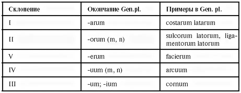 Родительный падеж на латыни. Множественное число существительных в латинском языке. Таблица множественного числа в латинском. Множественное число латынь. Окончания падежей в латинском языке.