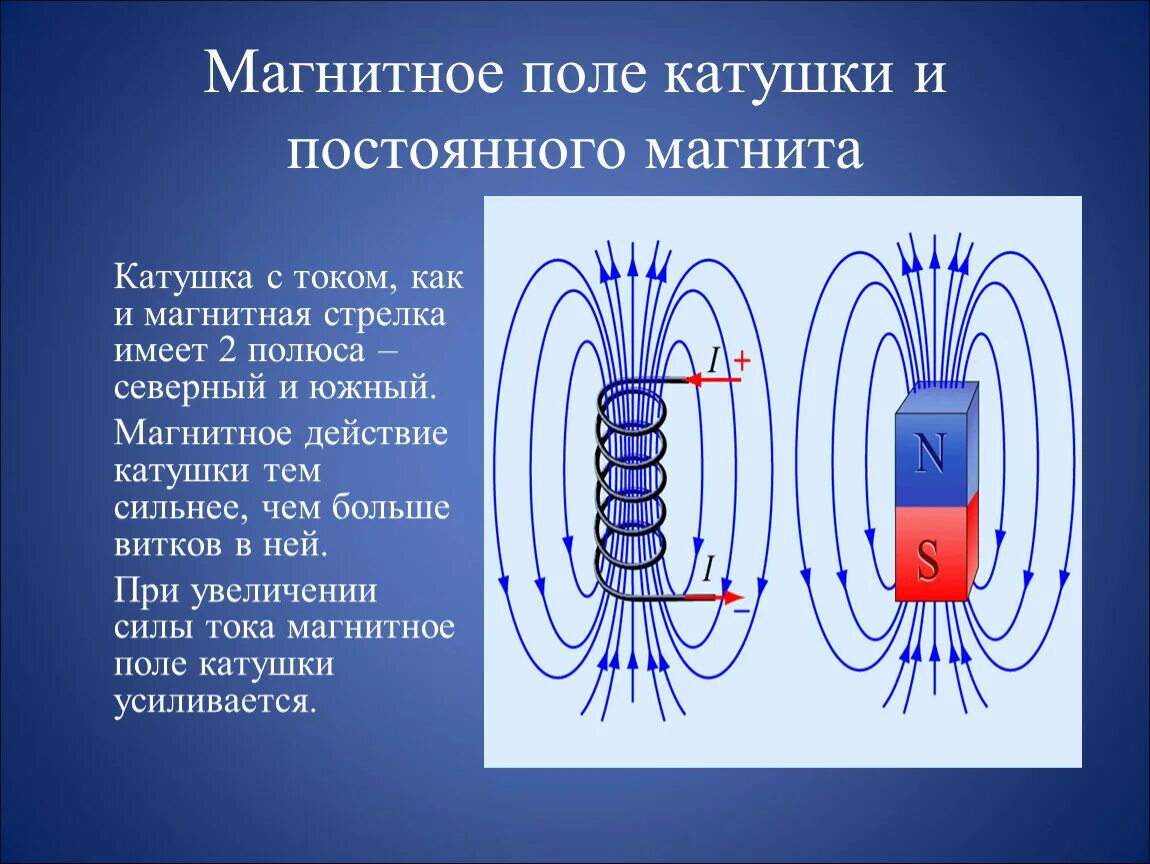 Линии магнитной индукции катушки с током. Магнитное поле в проводнике с током полюса. Линии магнитной индукции в катушке. Линии магнитной индукции поля катушки с током. К постоянному магниту не притягивается