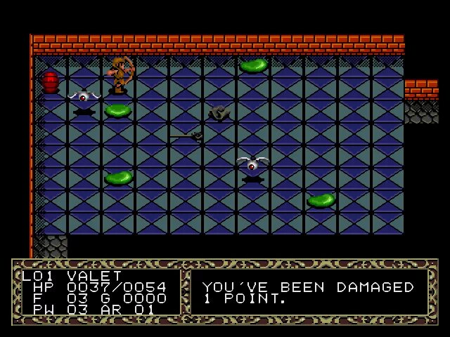 Игры сега лабиринт. Fatal labyrinth. Fatal labyrinth. Fatal labyrinth sega обложка. Fatal labyrinth.