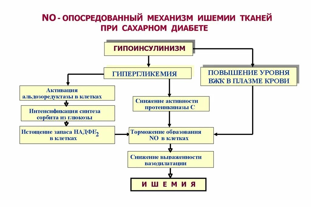 Сахарный диабет патофизиология. Сахарный диабет патофизиология презентация. Механизм гипергликемии патофизиология. Структура патофизиологии. Профилактика нарушений углеводного обмена и сахарного диабета.