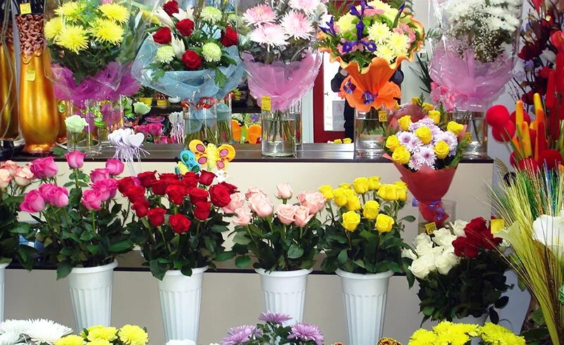 Цветы в магазине охапка. Цветочные магазины сыктывкар. Цветы эжва. Магазин цветов сыктывкар коммунистическая. Цветы эжва.