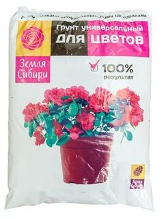 Грунт для бегонии
