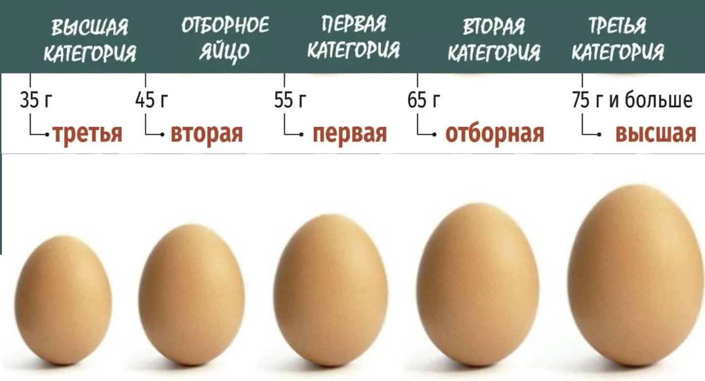 Яйца с0 или с2. Вес 1 белка куриного яйца. Сколько грамм в 1 яйце курином. Вес куриного яйца с0. Вес 1 белка куриного яйца с1.