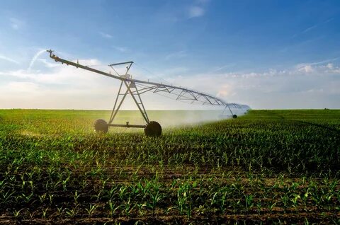 Field system