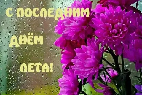 Последний день лита