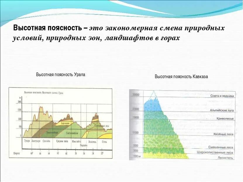 Схема ВЫСОТНОЙ поясности Южного Урала 8 класс география. Высотная поясность гор Урала. Природные зоны на Урале ВЫСОТНОЙ поясности. Высотная поясность уральских гор 8 класс.