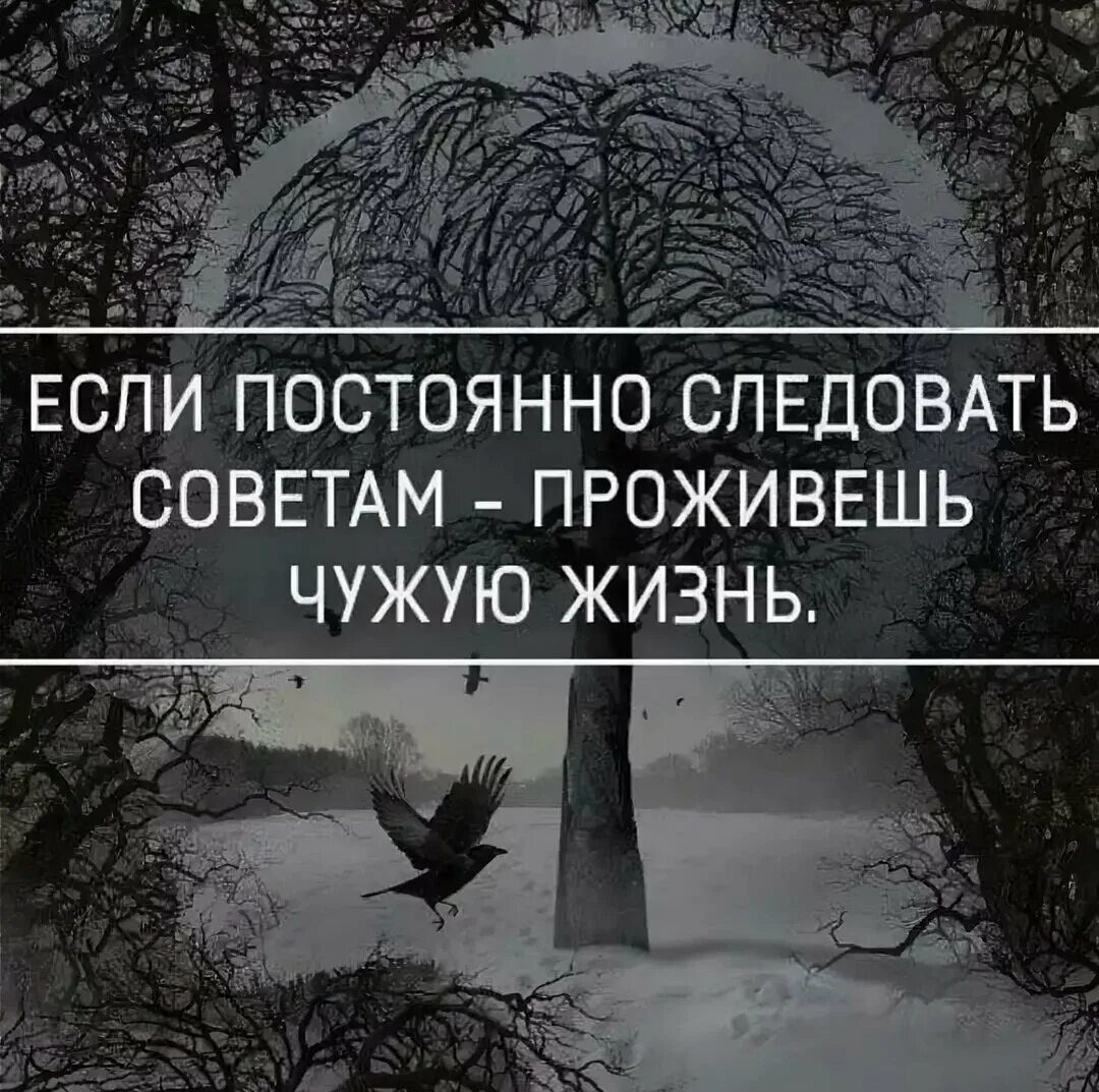 Смысл жить чужим умом. Жить чужой жизнью цитаты. Не живи чужой жизнью цитаты. Живи своим умом цитаты. Афоризмы про чужие советы.