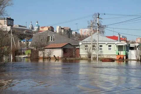 Стрелецкая курск