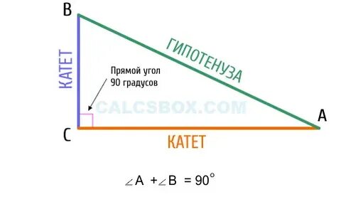 Сумма острых углов 90 градусов
