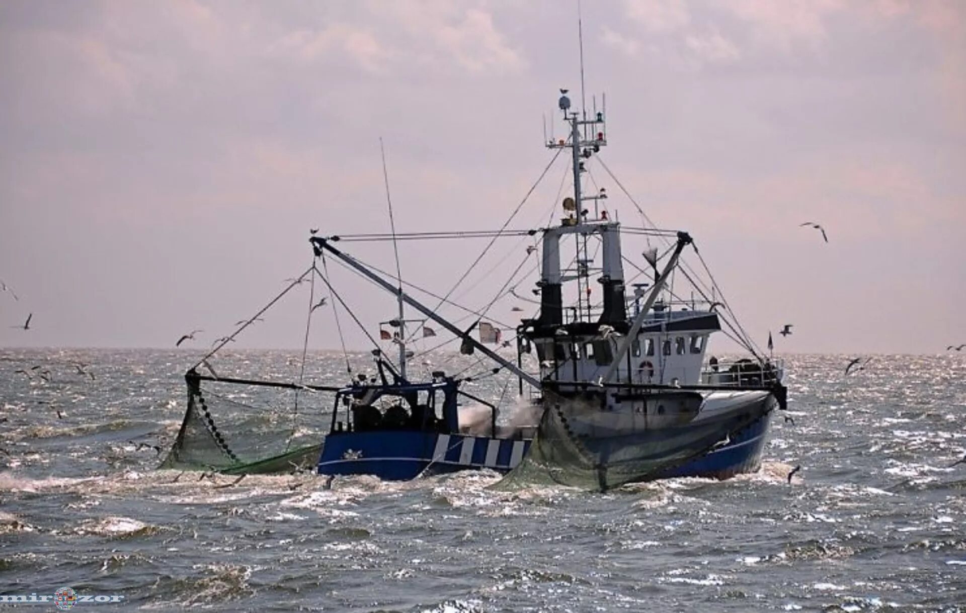 рыболовный траулер wla291. корабли ловили. рыбный промысел калининград. корабли ловили. корабли ловили.