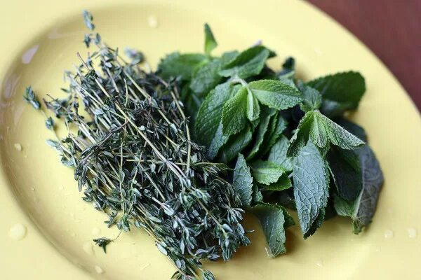 Чабрец и мята. Чабрец и мелисса. Мята оказывает слабительное действие. Чай травяной iherbal чарбещ мята. Мята и чабрец вместе как действуют.