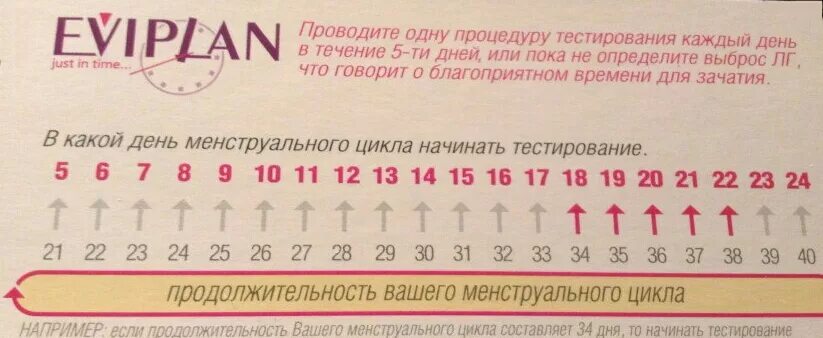 После полового акта через сколько можно забеременеть. Овуляция на какой день цикла. При цикле 28 дней когда овуляция. Цикл месячных 28 дней когда овуляция. На какой день происходит овуляция при 28 цикле.