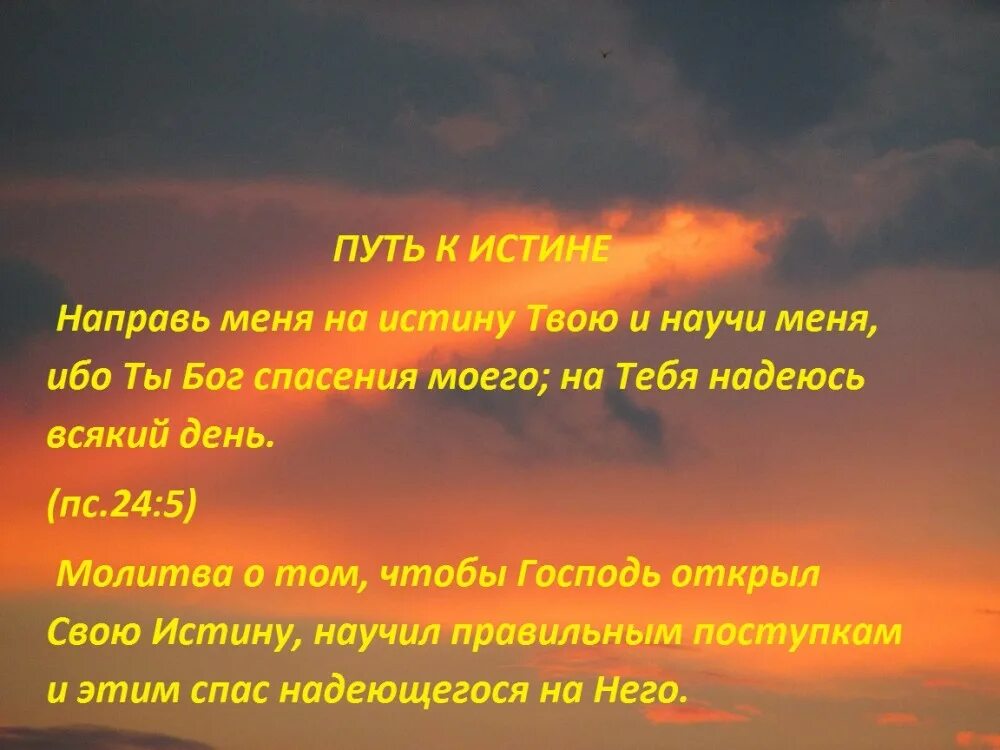 путь к истине. в пути. направь всех на истинный пусть. молитва о наставлении на путь истинный. направлять на путь истины.