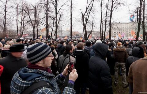 Причины болотной площади
