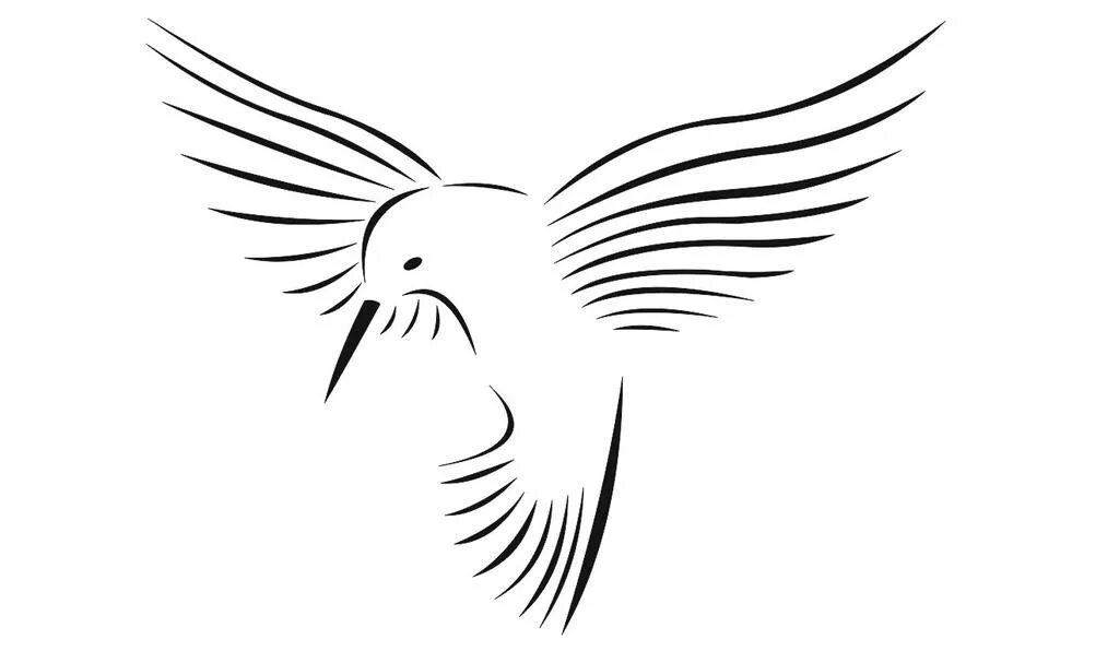 Символ птицы. Логотип птица. Птица символ на прозрачном фоне. Логотип в виде птицы.