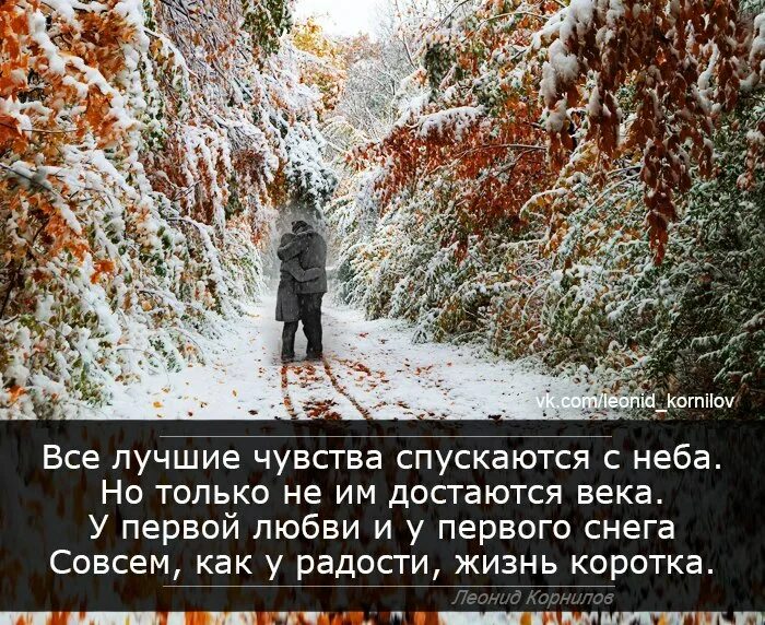 Цитаты про снегопад. Красивые высказывания о зиме. Цитаты про зиму. Жду снега. Цитаты про зиму.