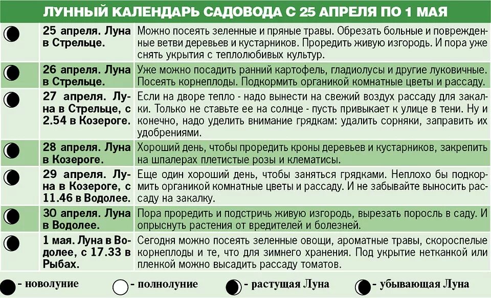 Что можно сажать на убывающей Луне. Что можно сеять на растущую луну. Что можно сеять на убывающую луну. Какие овощи сажать на убывающей Луне.