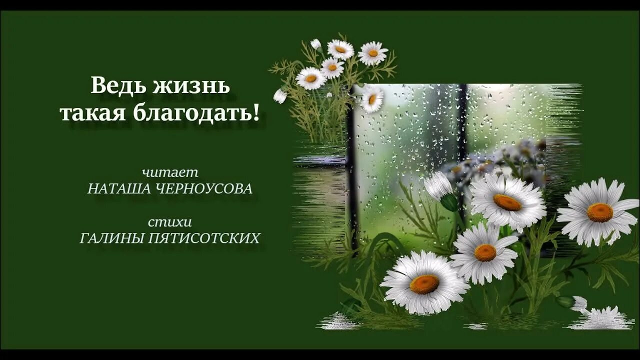 Благодать читать. Галина пятисотских. такая благодать. благодать стихи. галина пятисотских фото.