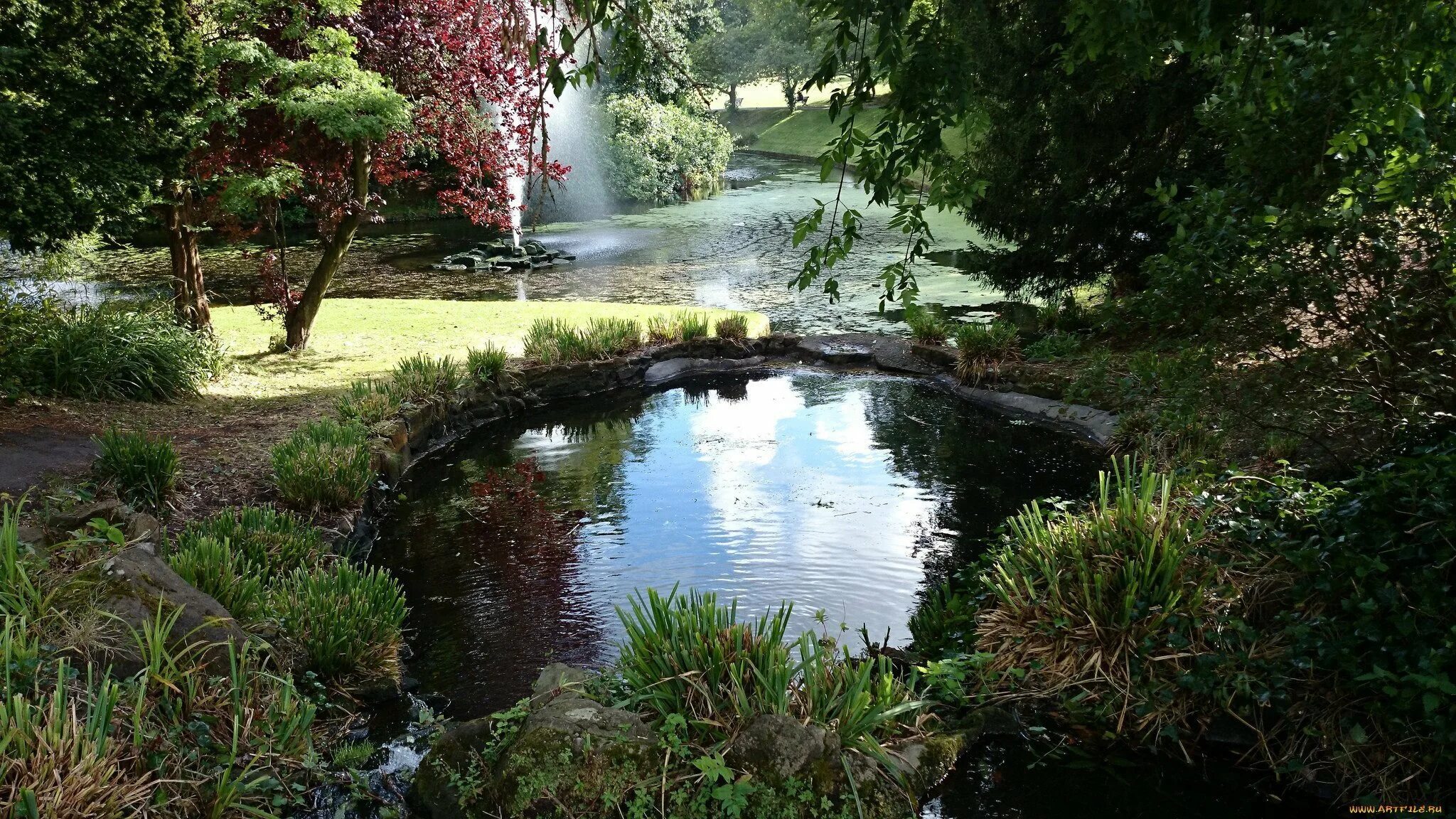 На горизонтальном водоемы. Парк МГУ прудик. Сефтон парк в Ливерпуле. Водоем в саду. Красивый сад с прудом.