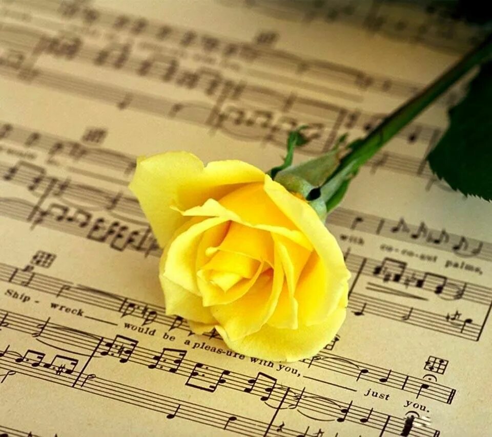 Цветы для музыканта. Ноты и цветы. Розы и Ноты. Открытка учителю музыки.