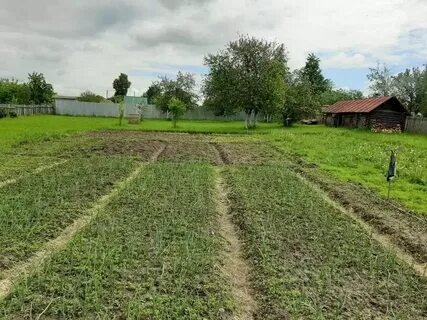 Заовражный каратай