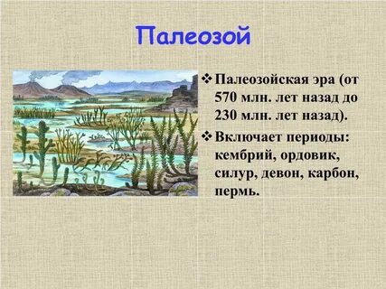 Климат палеозойской эры