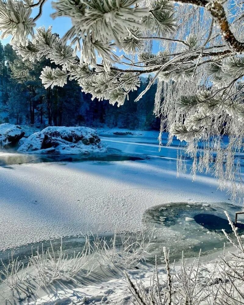Редкую зиму