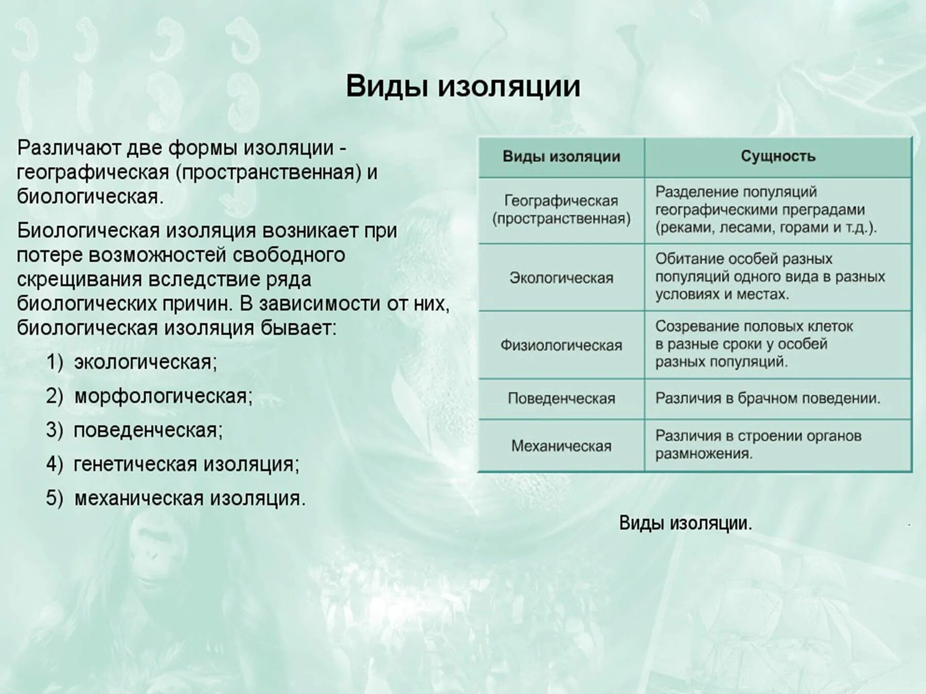 Фирмы биологической изоляции. Виды изоляции. Виды изоляции в биологии таблица. Типы изоляции в биологии. Описание географической изоляции